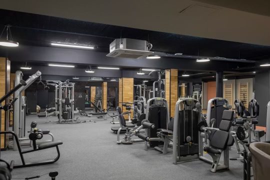 Arnold Gym – Fitness