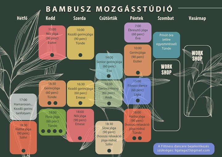 Bambusz Mozgásstúdió – Yoga
