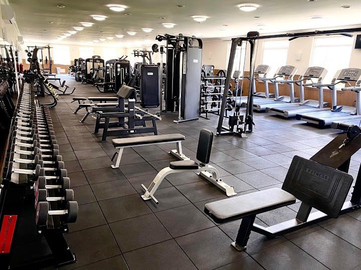 Forest Gym – Fitness