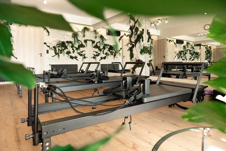 Jungle Pilates – Pilates