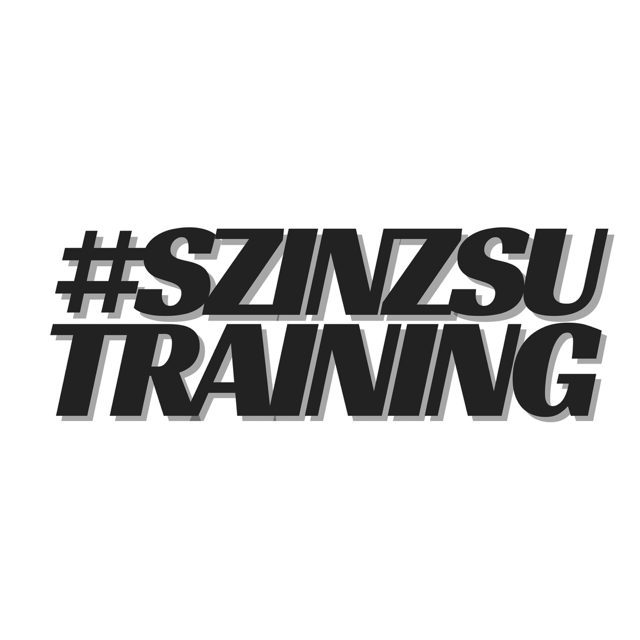 SZINZSU TRAINING – Fitness